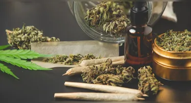 Imagem ilustrativa da notícia: Trump prepara reclassificação para diminuir restrições à maconha nos EUA