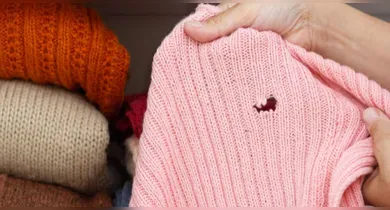 Imagem ilustrativa da notícia: Traças em casa: aprenda como eliminar e proteger roupas e livros