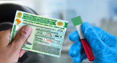 Imagem ilustrativa da notícia: Exame toxicológico para CNH: quais as drogas dão positivo?