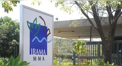 Imagem ilustrativa da notícia: Processo seletivo para IBAMA e INCRA  entra nos últimos dias de inscrições