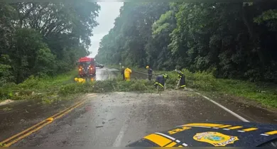 Imagem ilustrativa da notícia: Ciclone atinge 18 cidades gaúchas e causa estragos