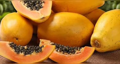 Imagem ilustrativa da notícia: Sementes de mamão: veja os benefícios e como usar