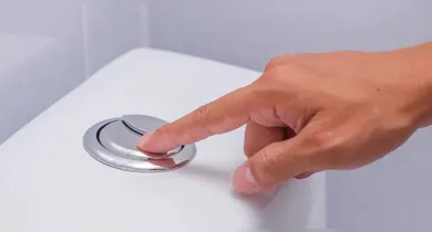 Imagem ilustrativa da notícia: Descubra para que serve os dois botões da descarga do vaso sanitário