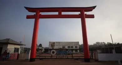 Imagem ilustrativa da notícia: Tomé-Açu ganhará sinalização turística por imigração japonesa