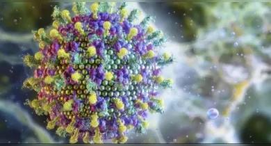 Imagem ilustrativa da notícia: Máscaras voltam a ser exigidas em aeroportos após surto do vírus Nipah