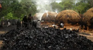 Imagem ilustrativa da notícia: MPPA aciona Justiça contra fornos ilegais de carvão em Marituba
