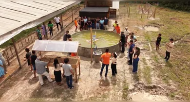 Imagem ilustrativa da notícia: Tecnologia social transforma produção de alimentos no Marajó