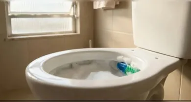 Imagem ilustrativa da notícia: Veja como posicionar o aromatizador do vaso e prolongar a eficácia