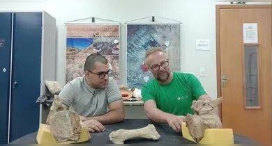 Imagem ilustrativa da notícia: Ossos achados no Maranhão são de dinossauro pescoçudo