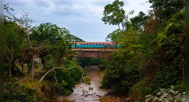 Imagem ilustrativa da notícia: Livro retrata a Amazônia a partir da Estrada de Ferro Carajás