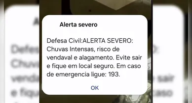 Imagem ilustrativa da notícia: Defesa Civil emite alerta severo sobre chuva e vendaval
