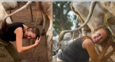 Imagem ilustrativa da notícia: Influenciadora lava cabelo com urina de vaca e divide opiniões