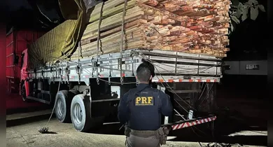 Imagem ilustrativa da notícia: PRF apreende carga ilegal de madeira durante fiscalização na BR-222