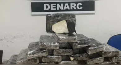 Imagem ilustrativa da notícia: Polícia apreende 30 tabletes de droga na Alça Viária