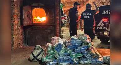 Imagem ilustrativa da notícia: Pará tem alta de 42,5% na apreensão de drogas no primeiro trimestre de 2026