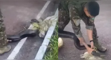 Imagem ilustrativa da notícia: Militares salvam cachorro atacado por sucuri em cidade do Pará