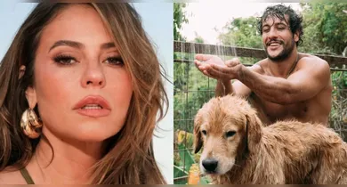 Imagem ilustrativa da notícia: Paolla Oliveira curte foto de ex-participante de reality e recebe cantada