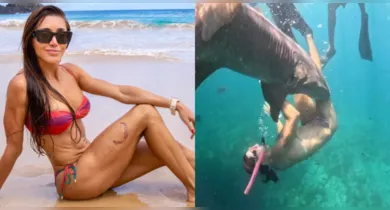 Imagem ilustrativa da notícia: Novo vídeo mostra ataque de tubarão em Fernando de Noronha