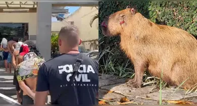 Imagem ilustrativa da notícia: Capivara é covardemente atacada no Rio; suspeitos são presos