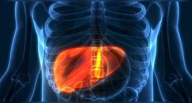 Imagem ilustrativa da notícia: Esses são os 7 piores alimentos que causam gordura no fígado