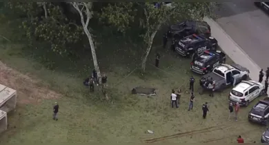 Imagem ilustrativa da notícia: Corpo esquartejado de mulher é encontrado dentro de mala em SP