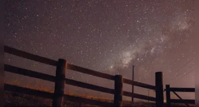 Imagem ilustrativa da notícia: Cientistas alertam para o que está próximo de acontecer