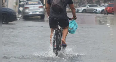 Imagem ilustrativa da notícia: Belém recebe apoio internacional para solucionar alagamentos