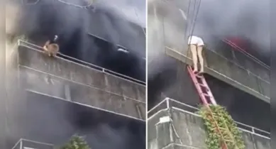 Imagem ilustrativa da notícia: Mulher salva cães de incêndio arremessando os animais da sacada