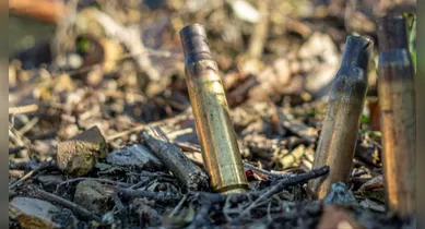 Imagem ilustrativa da notícia: Deputada estadual se torna ré por envolvimento com milícia