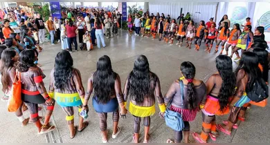 Imagem ilustrativa da notícia: Oficina debate políticas de gestão territorial para os povos indígenas