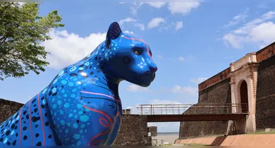 Imagem ilustrativa da notícia: Cultura e sustentabilidade: documentários no Sesc Ver-o-Peso