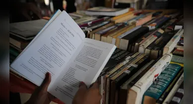 Imagem ilustrativa da notícia: MEC Livros: empreste gratuitamente e confira autores paraenses na biblioteca digital