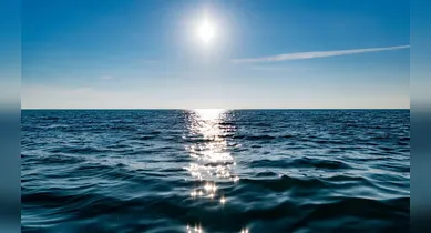 Imagem ilustrativa da notícia: Tratado do Alto-Mar: entenda o que muda para o Brasil