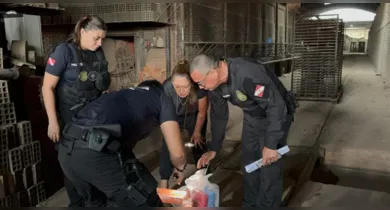 Imagem ilustrativa da notícia: Mais de 1 tonelada de drogas é incinerada em Castanhal