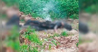 Imagem ilustrativa da notícia: Corpo de mulher é encontrado em chamas e suspeito é preso