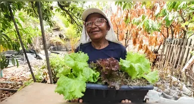 Imagem ilustrativa da notícia: Mulheres lideram políticas de assistência social no Pará