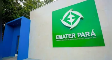 Imagem ilustrativa da notícia: Emater abre vagas com salários de até R$ 4.733,21 e vantagens