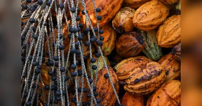 Ao todo, serão destinados R$ 1,8 milhão para selecionar até nove propostas com foco em sociobioeconomia, economia circular e agregação de valor.