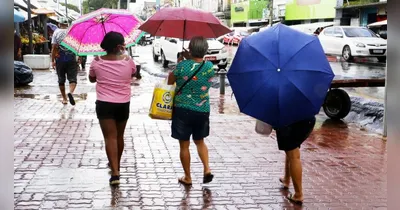 Há 95% de probabilidade de chuva, com volume estimado de 4,1 milímetros ao longo do dia.
