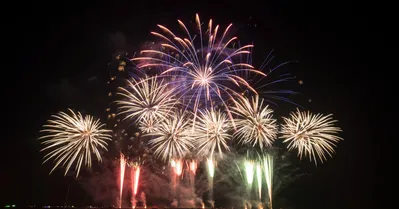 A Equatorial Pará orienta sobre o uso adequado e responsável desses produtos.