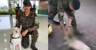 O sargento aplicou massagem cardíaca no animal até que ele voltasse a respirar.