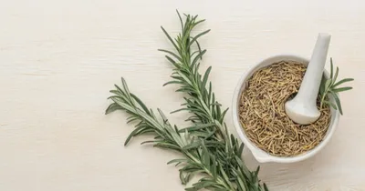 Anvisa encontrou irregularidades nos produtos