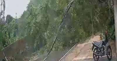 A árvore interditou parte da via em Belém.