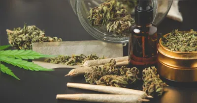 A maioria dos americanos apoia o relaxamento das restrições à maconha, segundo pesquisa citada no relatório.