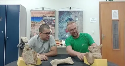 Foram encontrados ossos da perna, entre os quais um fêmur de aproximadamente 1,5 metro, do braço, da bacia, além de partes do pé e de costelas.