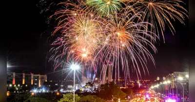 Imagem ilustrativa da notícia Fogos de artifícios com estampido são risco para animais e pessoas