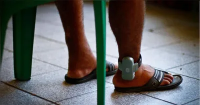 Imagem ilustrativa da notícia Senado obriga uso de tornozeleira por agressor de mulheres