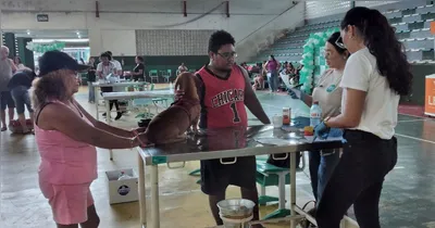 Ao todo, foram disponibilizadas 200 senhas para atendimento veterinário gratuito