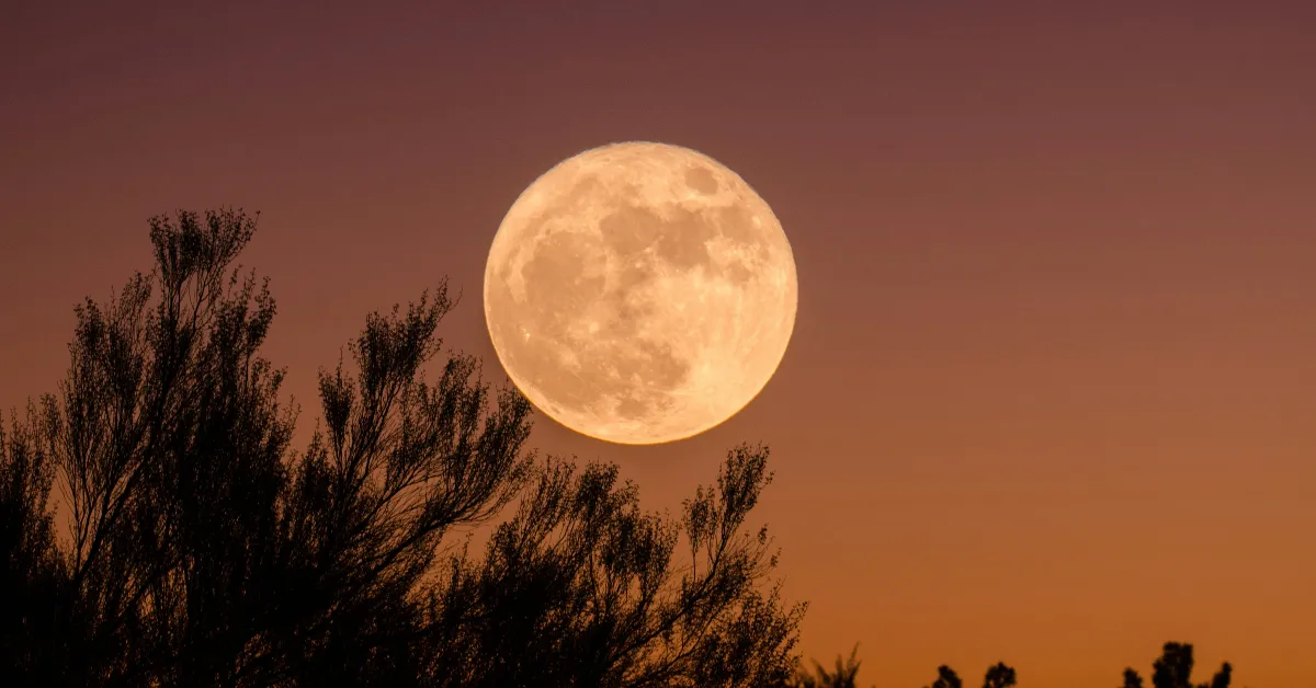 Imagem ilustrativa da notícia: Lua de Morango ilumina o céu hoje (29/06); veja como observar