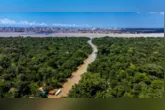 Setor impulsionado pela floresta, inovação e saberes tradicionais consolida o Pará como referência em desenvolvimento sustentável na Amazônia.